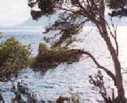 Port-Cros